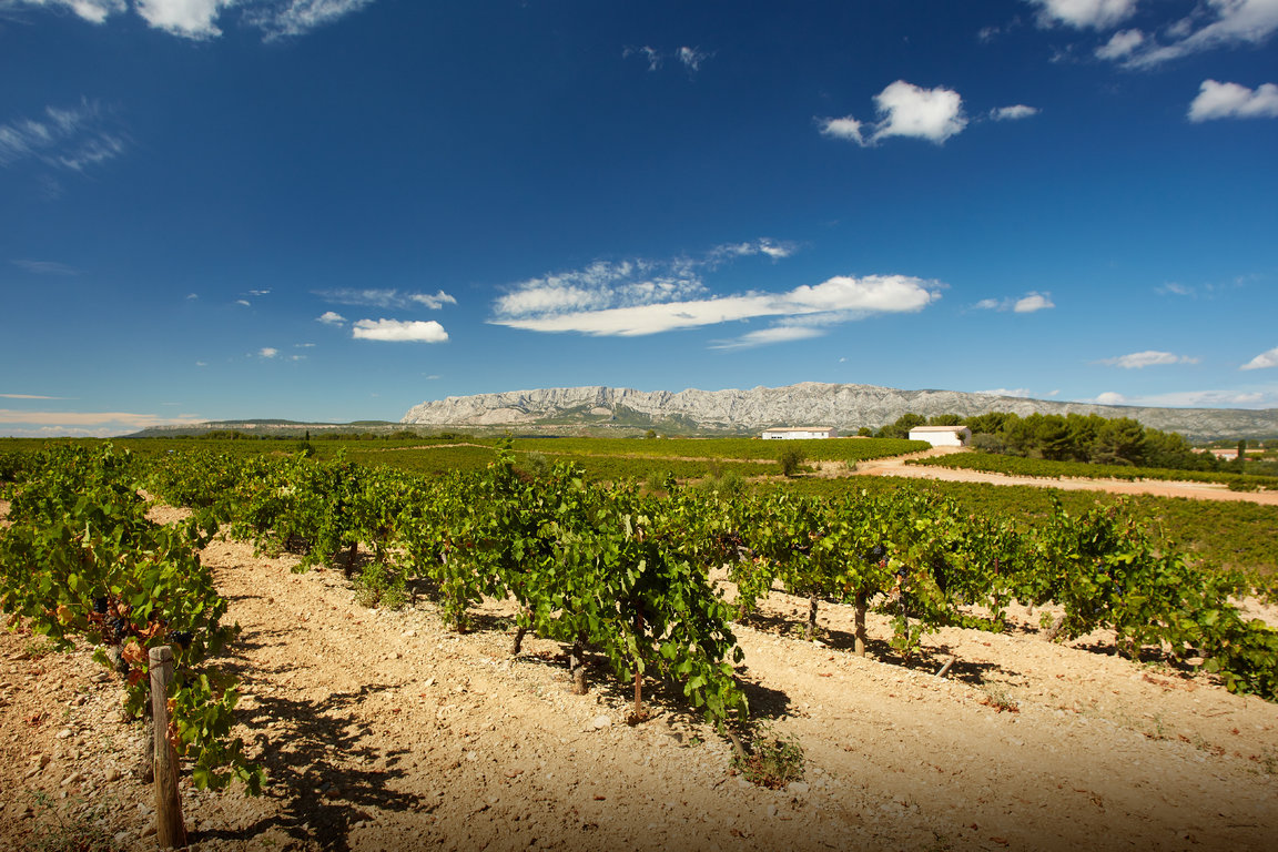 vins-sainte-victoire062