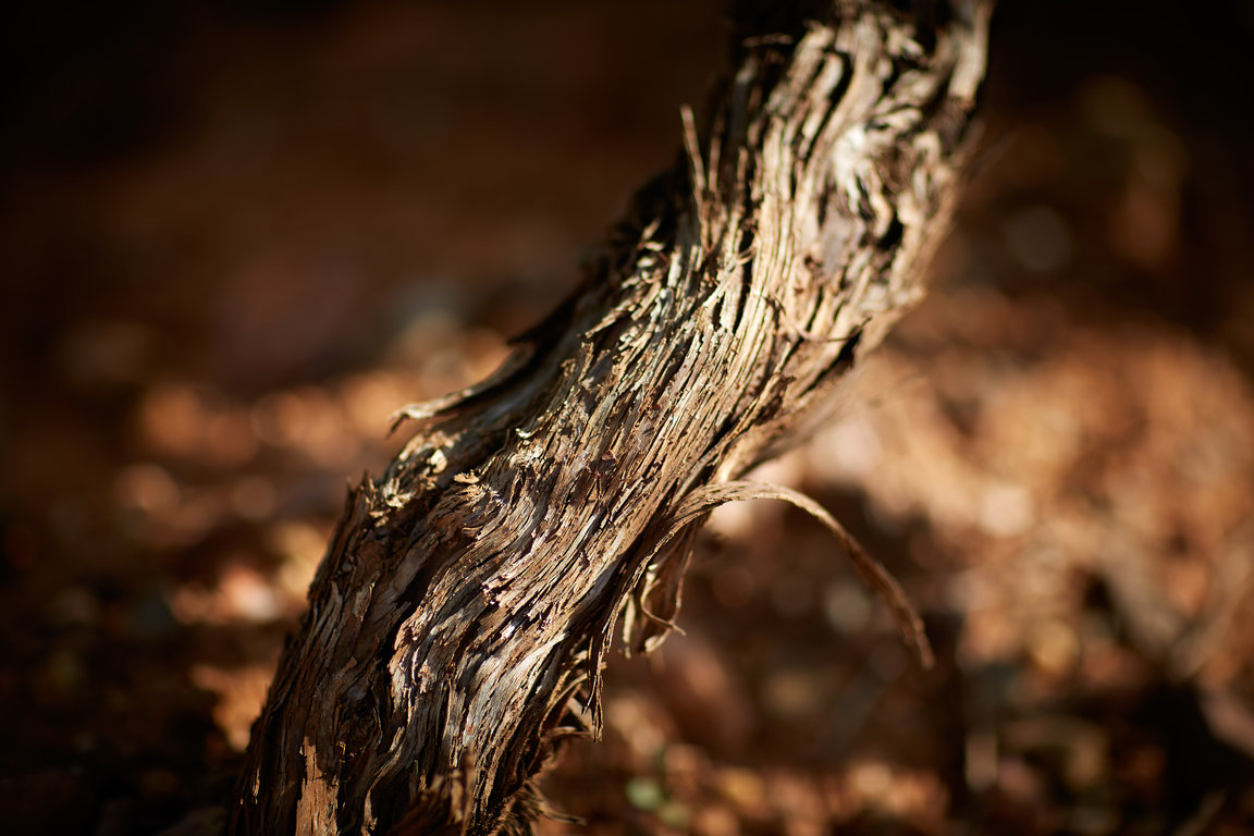 vins-sainte-victoire158