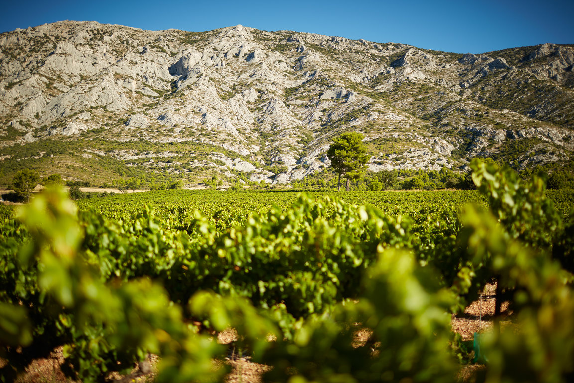 vins-sainte-victoire015