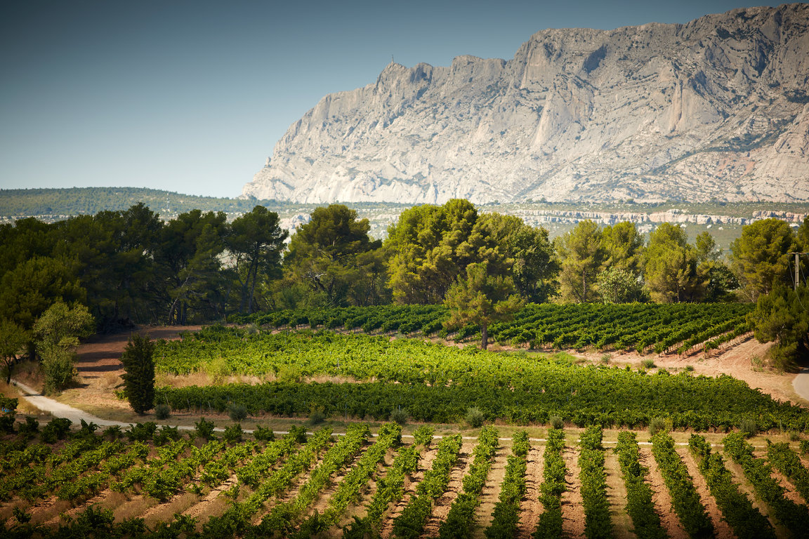 vins-sainte-victoire063