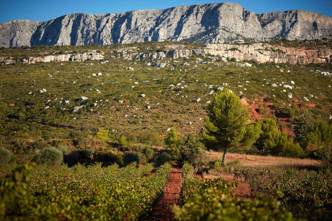 Vignerons_ST_Victoire_167