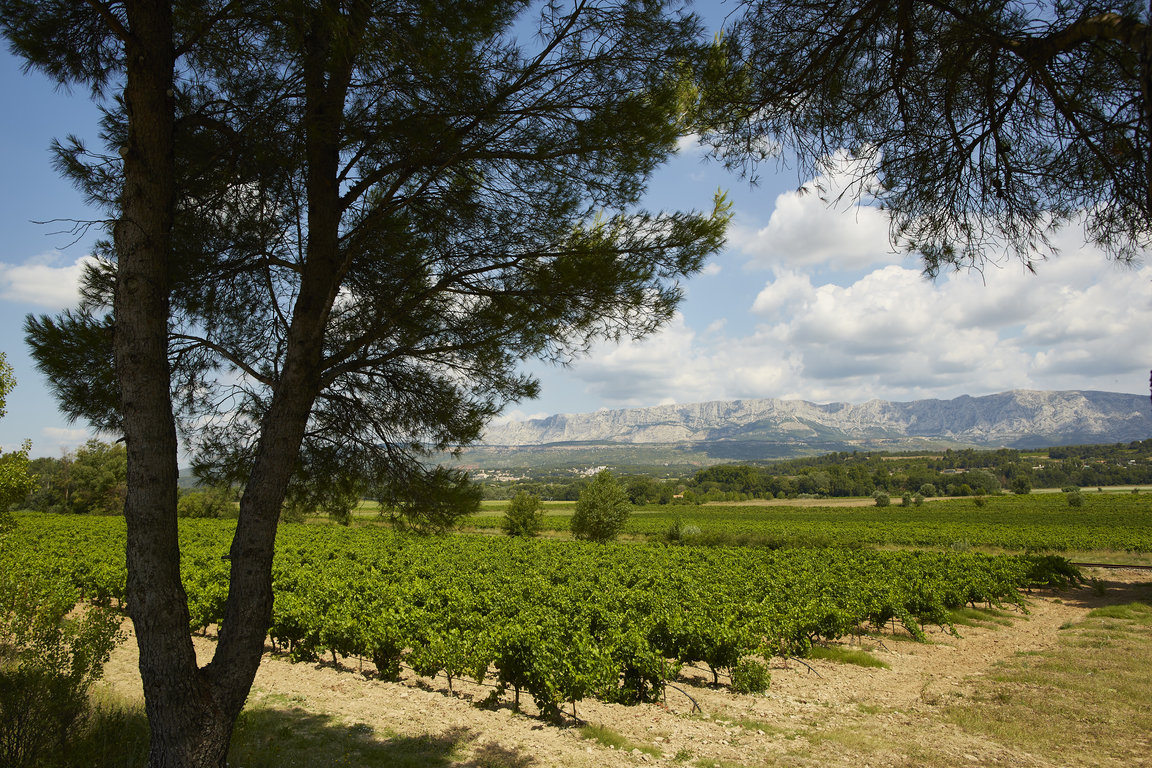 Vignerons_ST_Victoire014