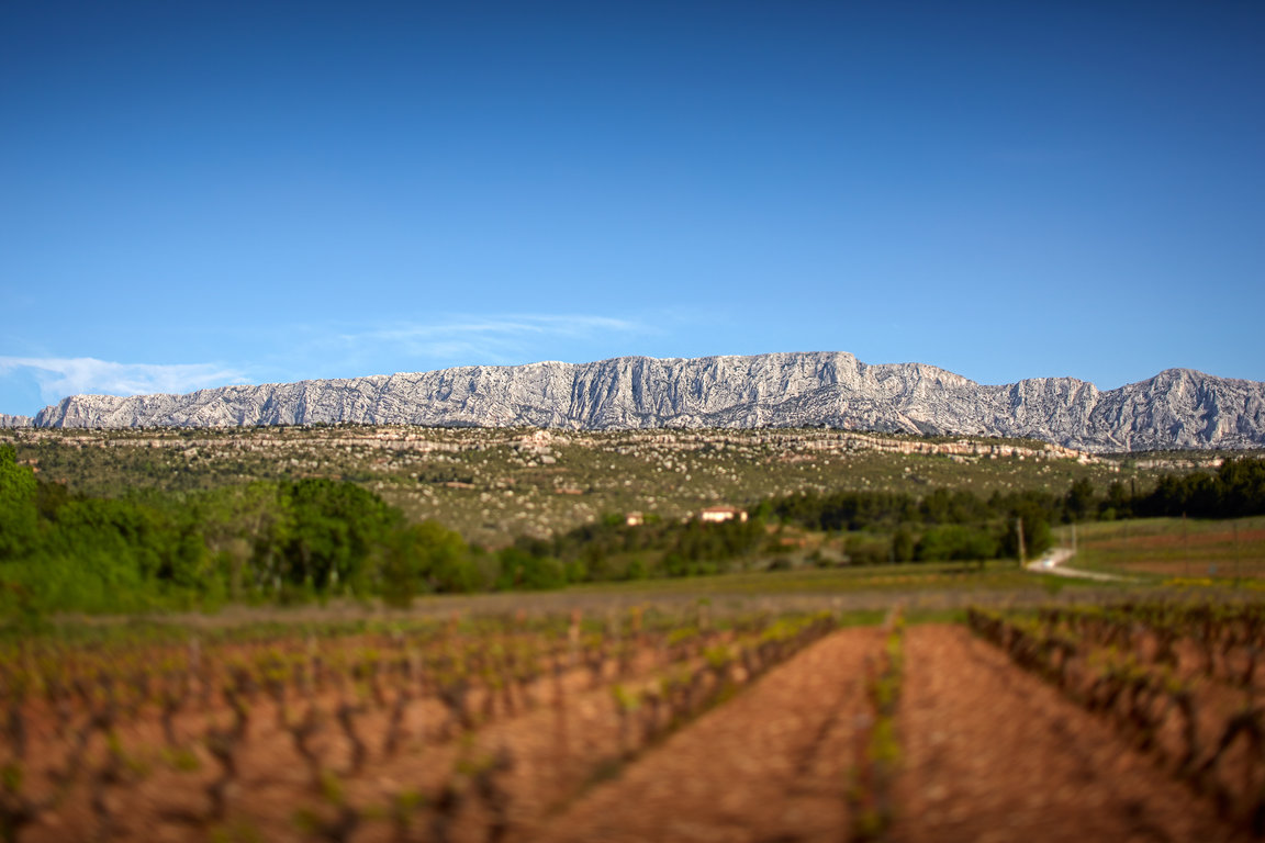 Vignerons_ST_Victoire_064