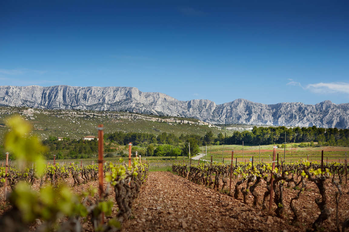 Vignerons_ST_Victoire_061