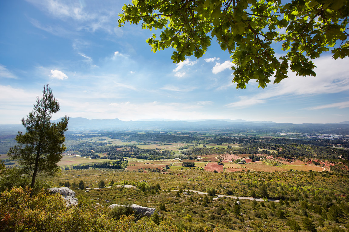 Vignerons_ST_Victoire_070