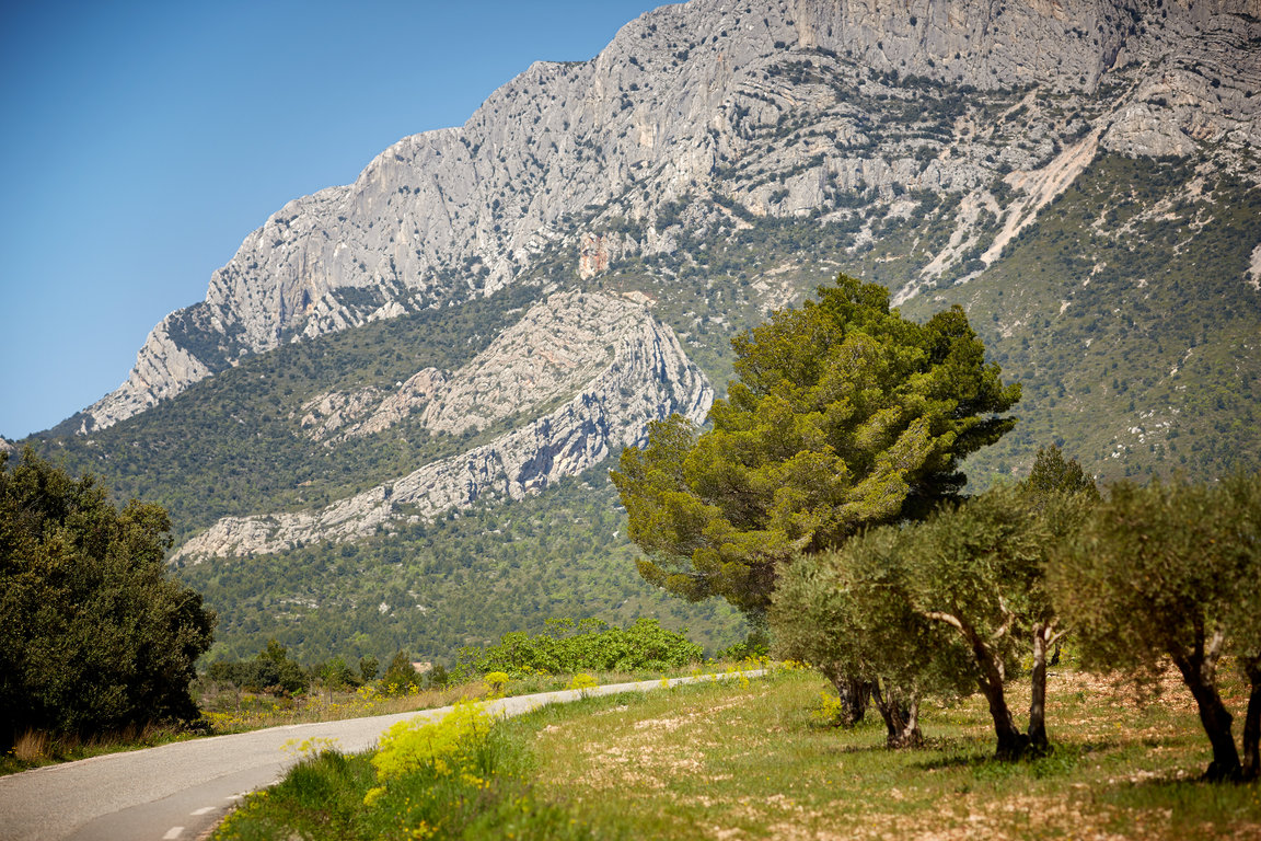 Vignerons_ST_Victoire_089