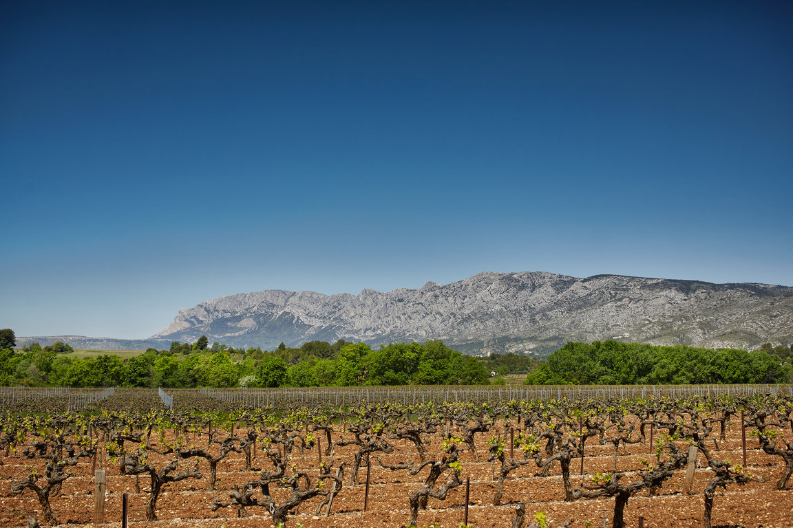 Vignerons_ST_Victoire_099