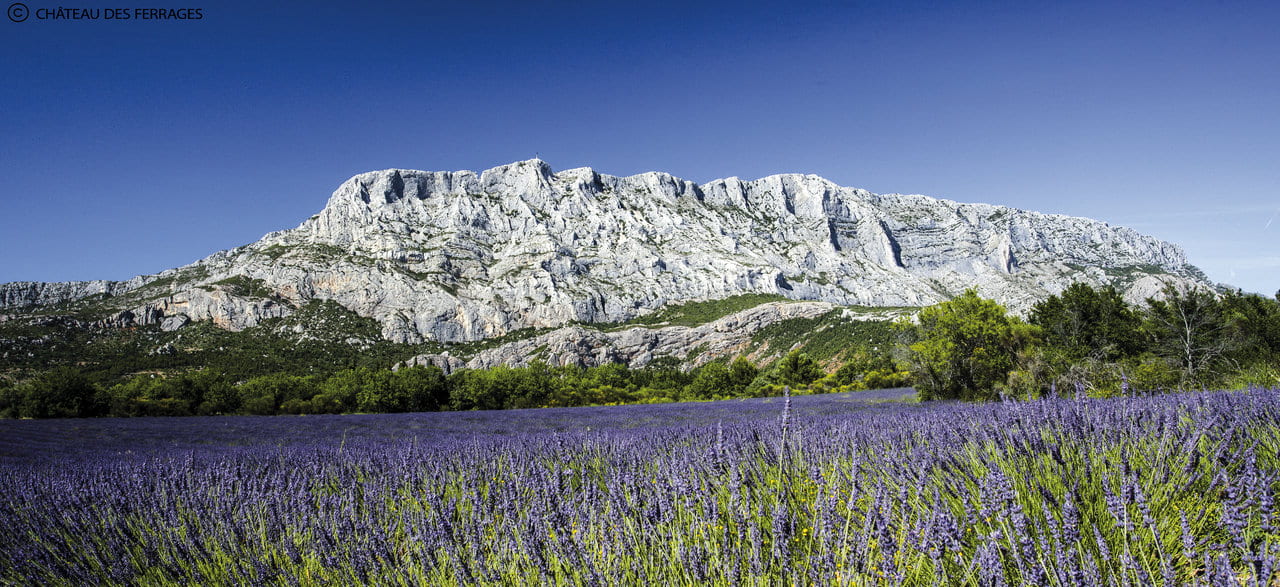 CDF - Paysage - Copyright Château des Ferrages