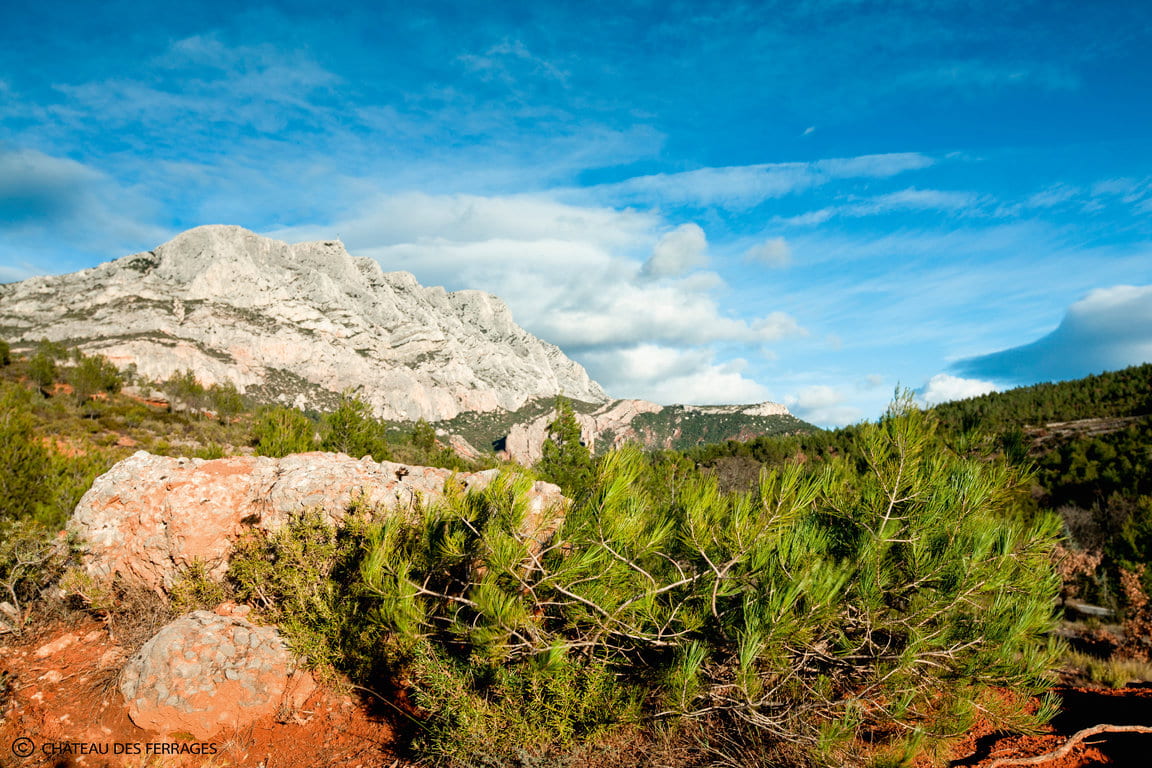 CDF - Sainte-Victoire - Copyright Château des Ferrages