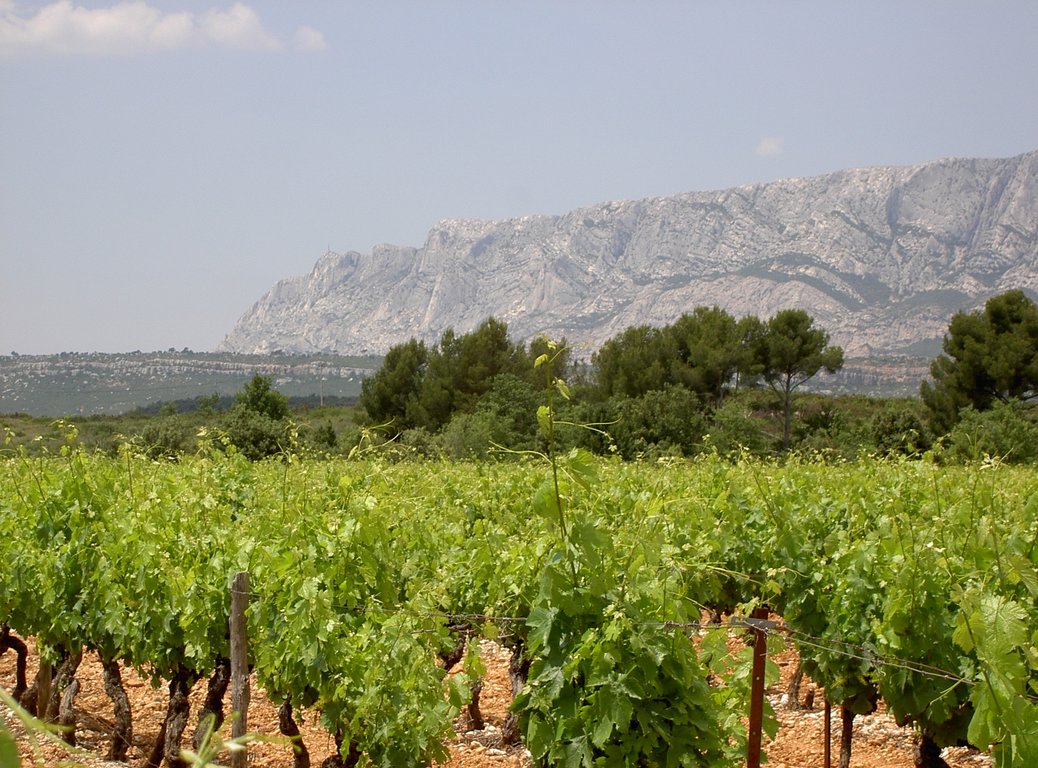 grenache plateau